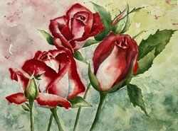 Tableau peinture aquarelle Roses passion